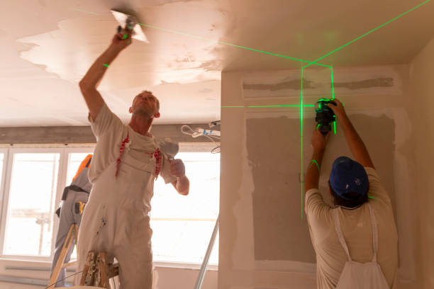 Best Basement Mold Removal  in Fairfield University, CT